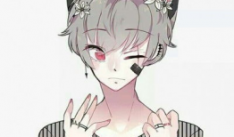 同性漫画男,同性漫画中的青春旋律